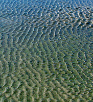 Braving The Texture Of Life