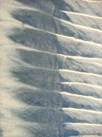 Feathered Sands