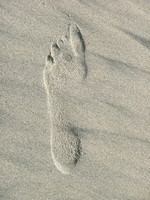 Foot Long