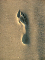 Golden Signature