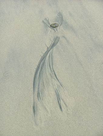 Sand Dancer