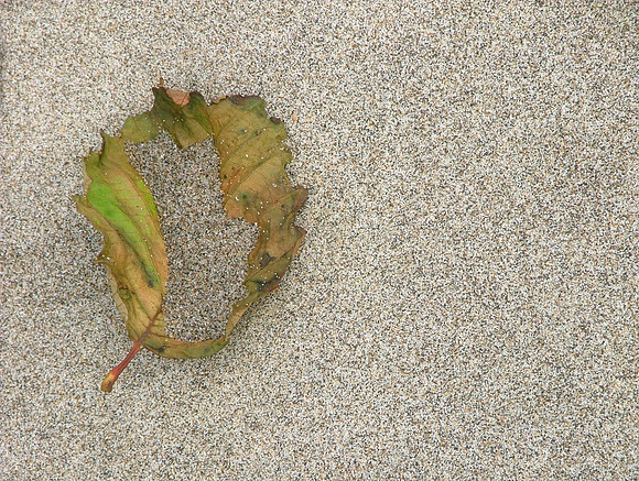 Sands In Autumn