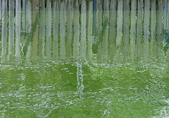 An Artist's Greens