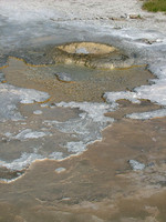 Earth's Lace (Yellowstone Sulphur Pits Series)