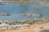 Misty Blue (Yellowstone Sulphur Pits Series)
