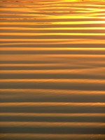 Orange Sands