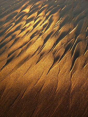Shimmering Sands 1