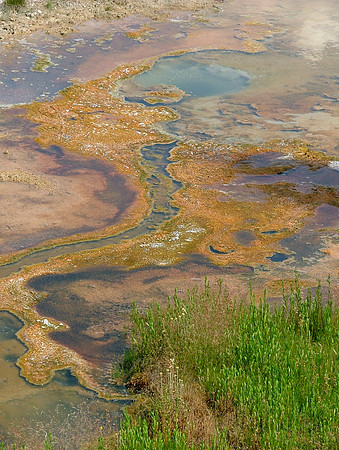 Sulphur Greens (Yellowstone Sulphur Pit sSeries)