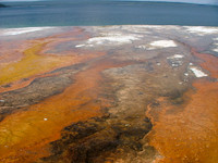 The Earth (Yellowstone Sulphur Pits Series)
