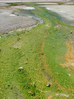The Green River (Yellowstone Sulphur Pits Series)