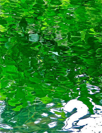 The Swans' Greens