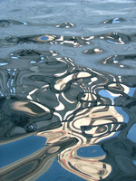 The Turtle (Native American Water Series)