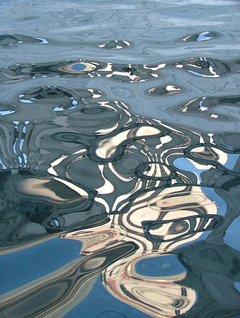 The Turtle (Native American Water Series)