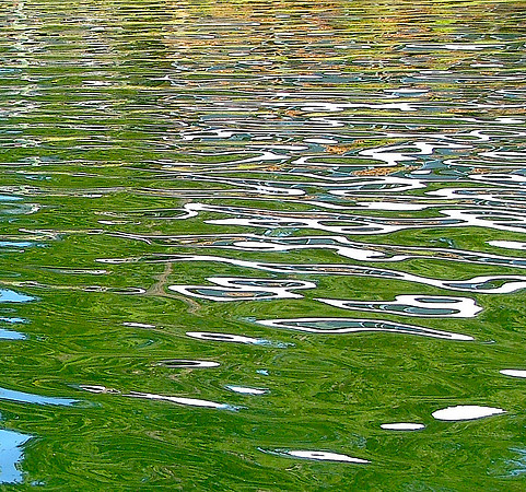 Water...Paints