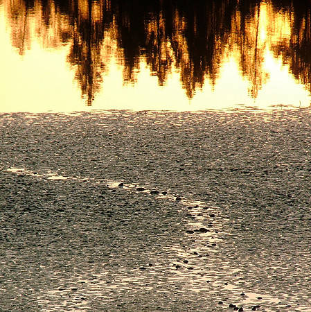 Zen Pond Path