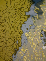 Landscape Of Life