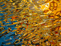 Blue Gold Menagerie