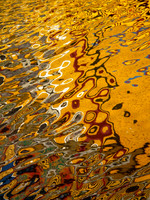 Gold Menagerie