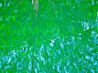 Grounding In Green