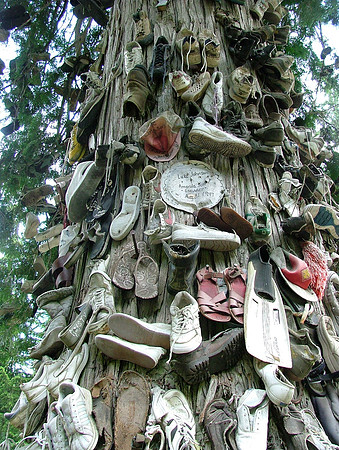 A Soulful Tree