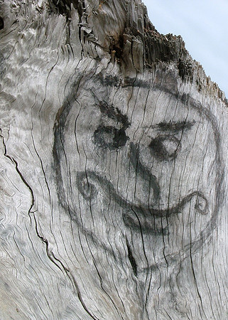 Creative Canvas