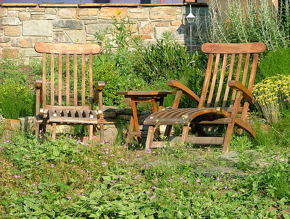 Garden Conversations