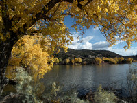 Autumn Framed