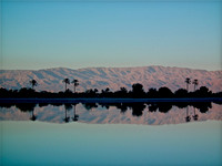 Desert Mirror