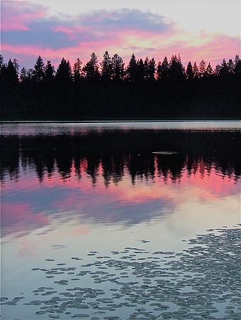 Flamingo Lake