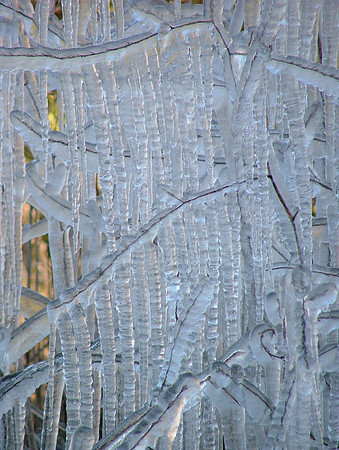 Ice Lace