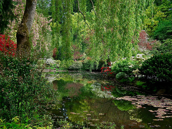 Planting In Reflection