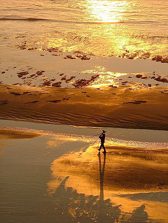 Golden Photographer