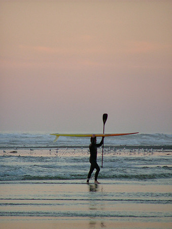 Surfboards Up
