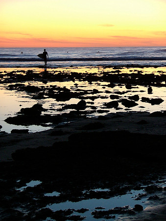 Surfer's Mosaic