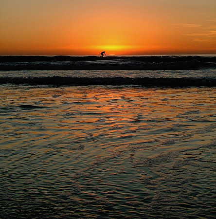 Surfing Sunset