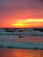 Sunset's Last Swim