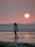 A Pause At Sunset