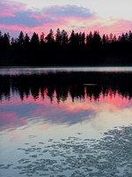 Blushing Sunset