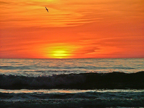 Painted Sunset