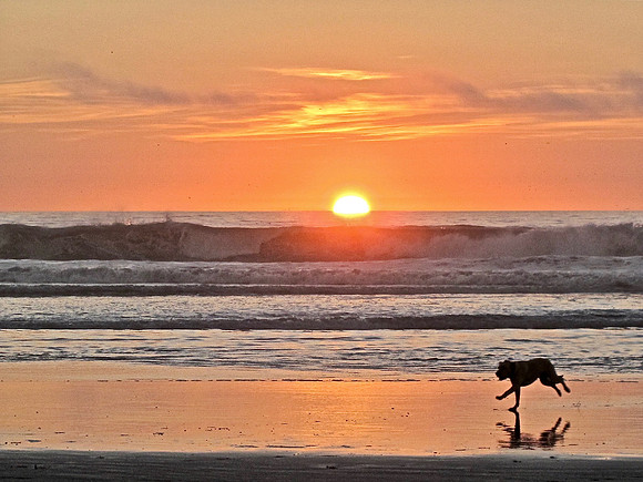Run To The Sun