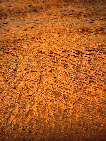 Shimmering Sun