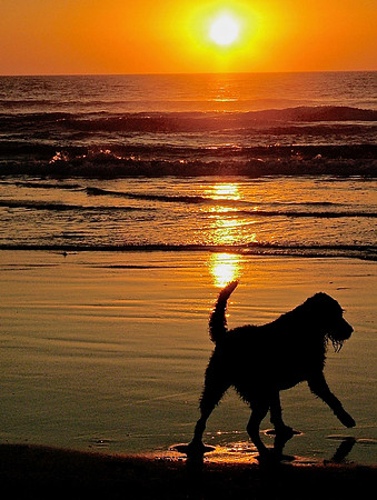 Stepping Into The Sun