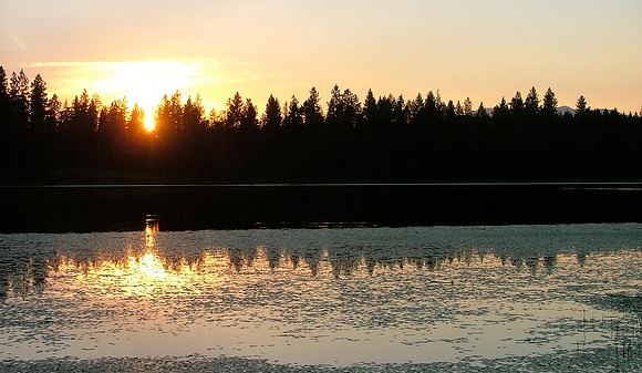 Sunset Shadows