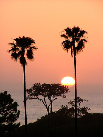 Swami's Touch Of Sun