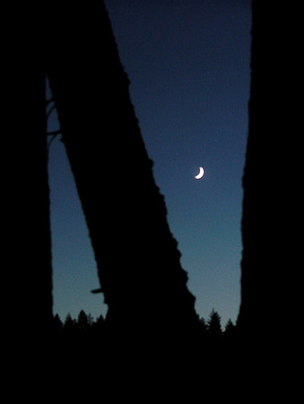 The Essence Of The Moon