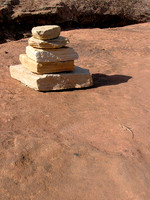 A Layered Lizard Perspective