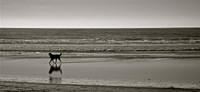 A Serene Sunday Stroll