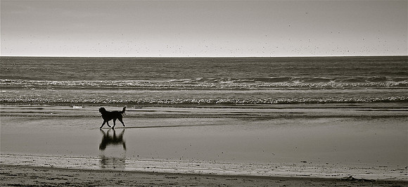 A Serene Sunday Stroll