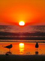 A Sunset Connection