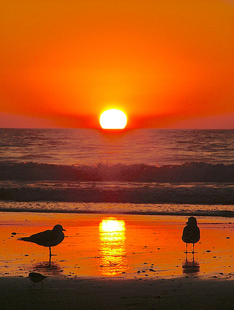 A Sunset Connection